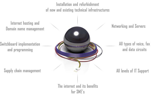 The Systems Management Company